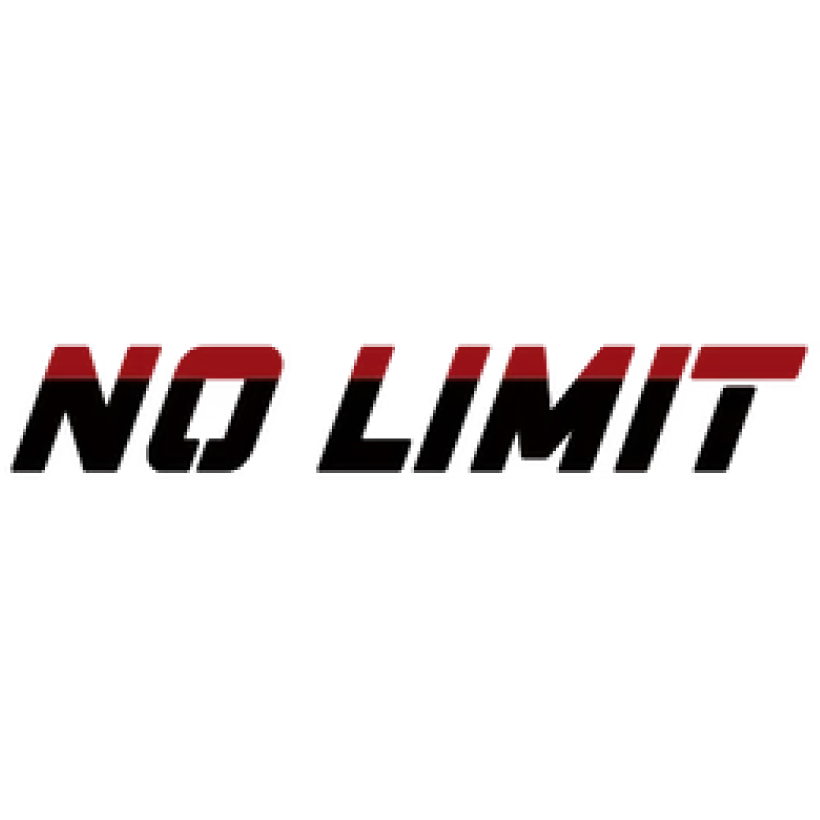 no limit fashion logo
